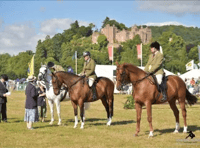 Dunster Show returns for 177th time