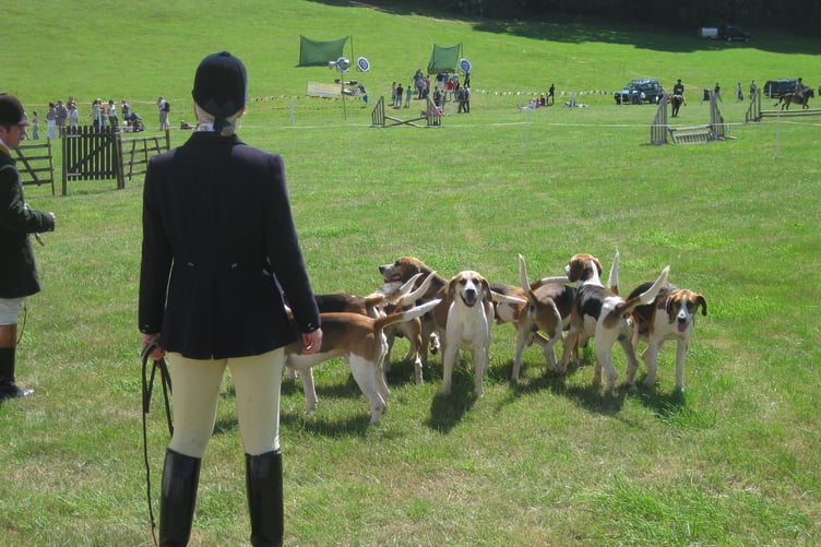 Packs of hounds from all over the Westcountry regularly attend Dunster Country Fair.