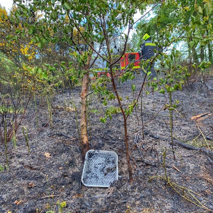 A single use barbecue found by fire crews at the scene of a countryside wildlife.