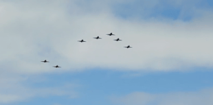 Watch out for another Red Arrows fly-past