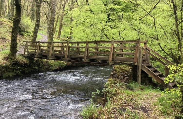 Venford Wood footbridge as it was before the storm.