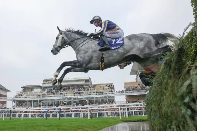King Turgeon - has 'summered well'