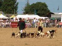 Chairman takes stock of successful Dunster Show