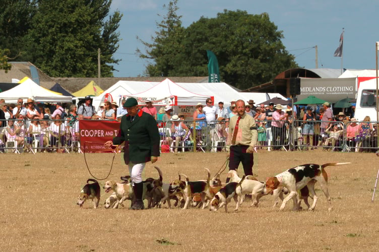 Minehead Harriers on display at Dunster Show 2025.