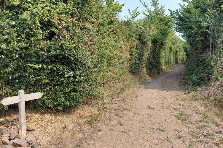 Part of the National Cycle Network route 51 on Exmoor looking east from Allerford.