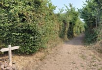 National park authority looks to future with plan for improving Exmoor travel