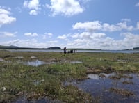 Water firm's biodiversity project up for award