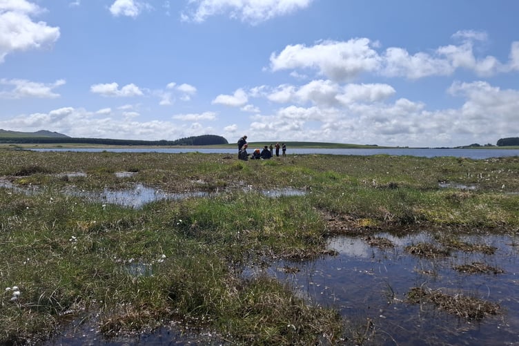 An area of peatland restored under South West Water's 'Upstream Thinking' initiative.