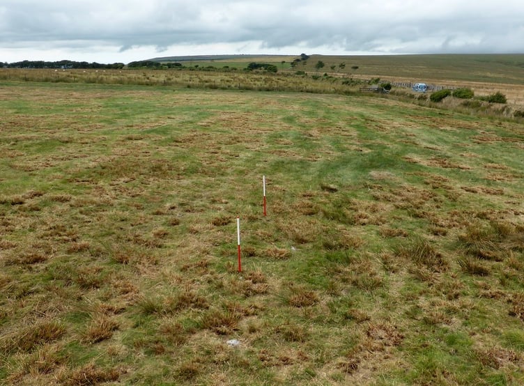 The White Ladder site on Exmoor.