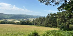 Letters to the Editor: Your take on today's news