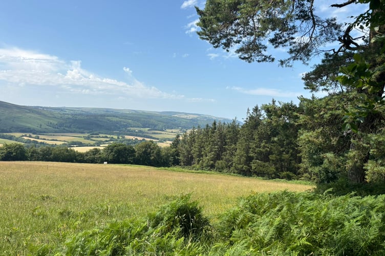 Taken from Hopcott Woods across to Porlock Hill. PHOTO: Fiona Haigh