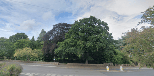 £7k for safety work on trees