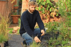 Choosing plants for the changing climate