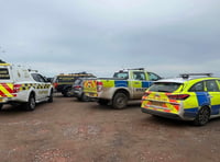 Dog dies and owner rescued in coastal drama
