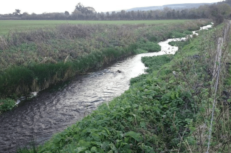 A stretch of the River Avill near Dunster.