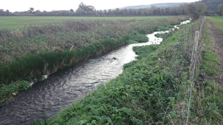 A stretch of the River Avill near Dunster.