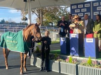 Vieux Lion Rouge has moved to his new home 