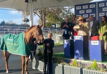 Vieux Lion Rouge has moved to his new home