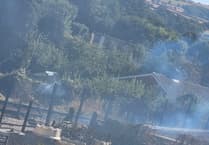 Investigation as residents claim steam train sparked blaze which destroyed gardens