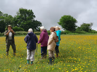 Delayed walking festival gets underway