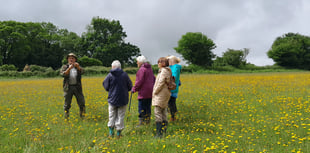 Delayed walking festival gets underway