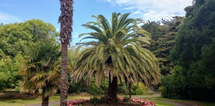 Letters to the Editor