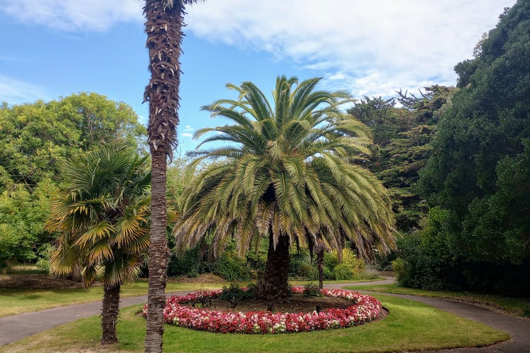 Blenheim Gardens at Minehead in bloom.