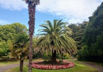 Letters to the Editor in response to local news and topics