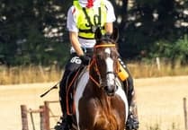 Amanda and 'Lady' help England retain International Cup