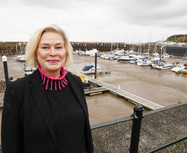 MP advertises 'low-paid job' working with constituents