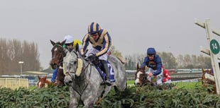 Disappointing run by Old Bridge over hurdles 