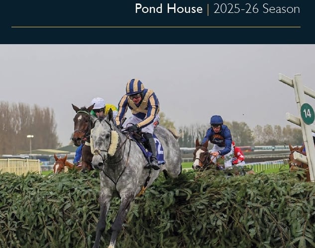 David Pipe's racing column