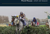 Disappointing run by Old Bridge over hurdles