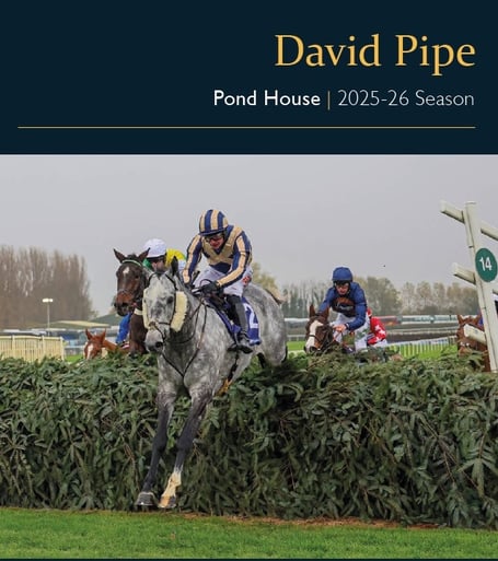David Pipe's racing column