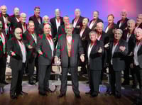Acapella stars in theatre variety show
