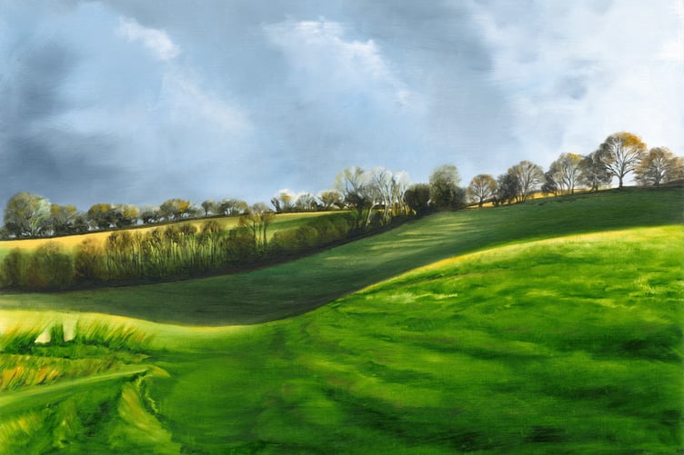'Spring Field' by artist Rachel Byles, who was new to this year's 10Parishes Festival.