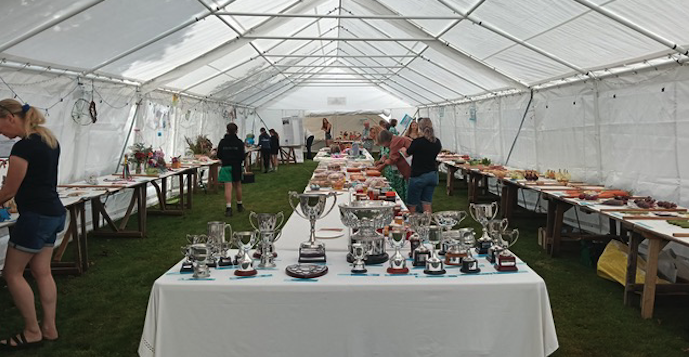 Trophies waiting to be won in the 2025 Exford and Simonsbath Flower and Produce Show.