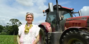 MP attacks solar farm developer's tactics