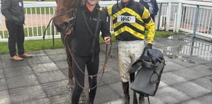 Very say day at Pipe's yard with loss of Hammer Dan er