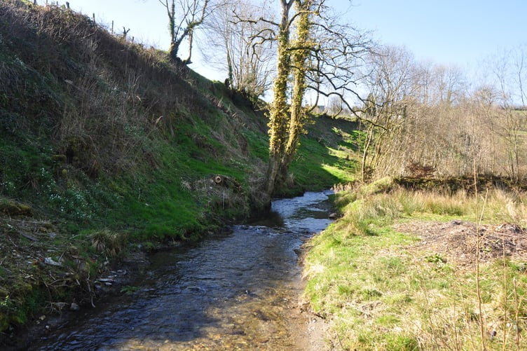 The River Pulham winding its way through Exmoor National Park.