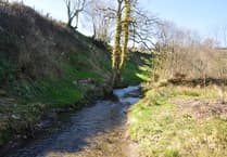 Nearly half of Exmoor's rivers are below good ecological standards new report reveals