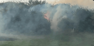 Power cables fall to ground and start fire threatening homes
