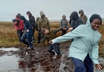 National park running free peatland day for families to learn about Exmoor's bogs