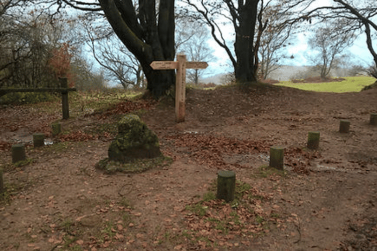 An illegal rave was broken up at the weekend near Triscombe Stone car park.