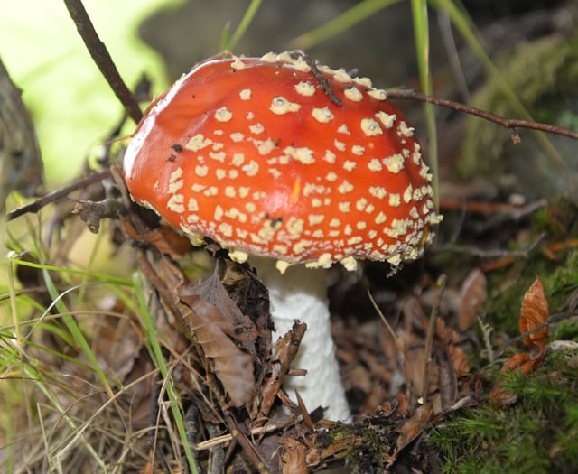 Letters from our readers in West Somerset and beyond