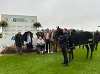 Three hundred attend Open Afternoon at Higher Holworthy Farm 