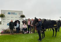 Three hundred attend Open Afternoon at Higher Holworthy Farm