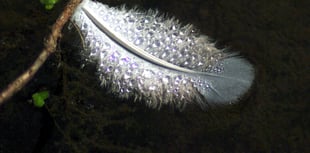 Letters from our readers across West Somerset and beyond