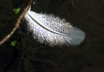 Letters from our readers across West Somerset and beyond