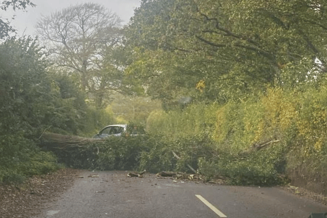 A number of roads were blocked by fallen trees during Storm Amy.